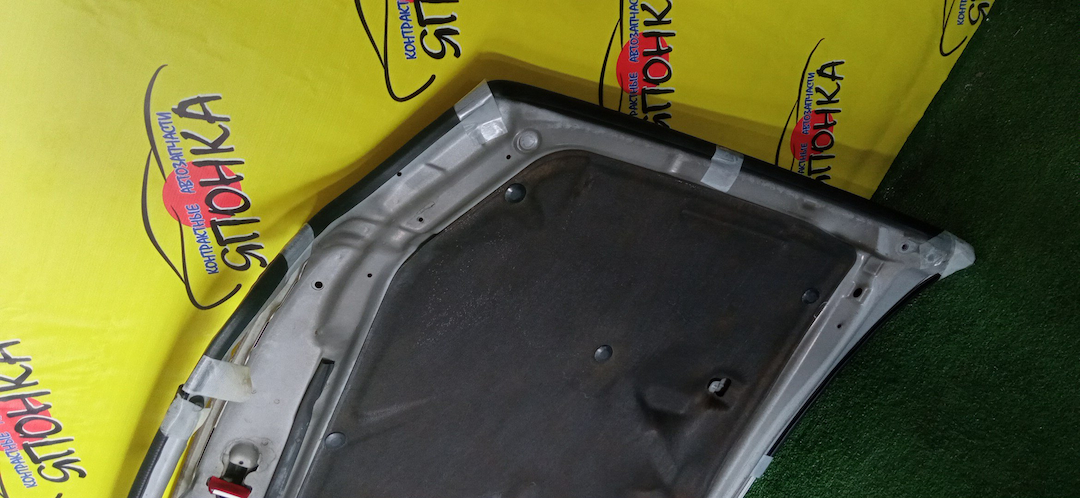 КАПОТ/TOY/VISTA/VISTA ARDEO/AZV50/AZV55/SV50/SV55/ZZV50