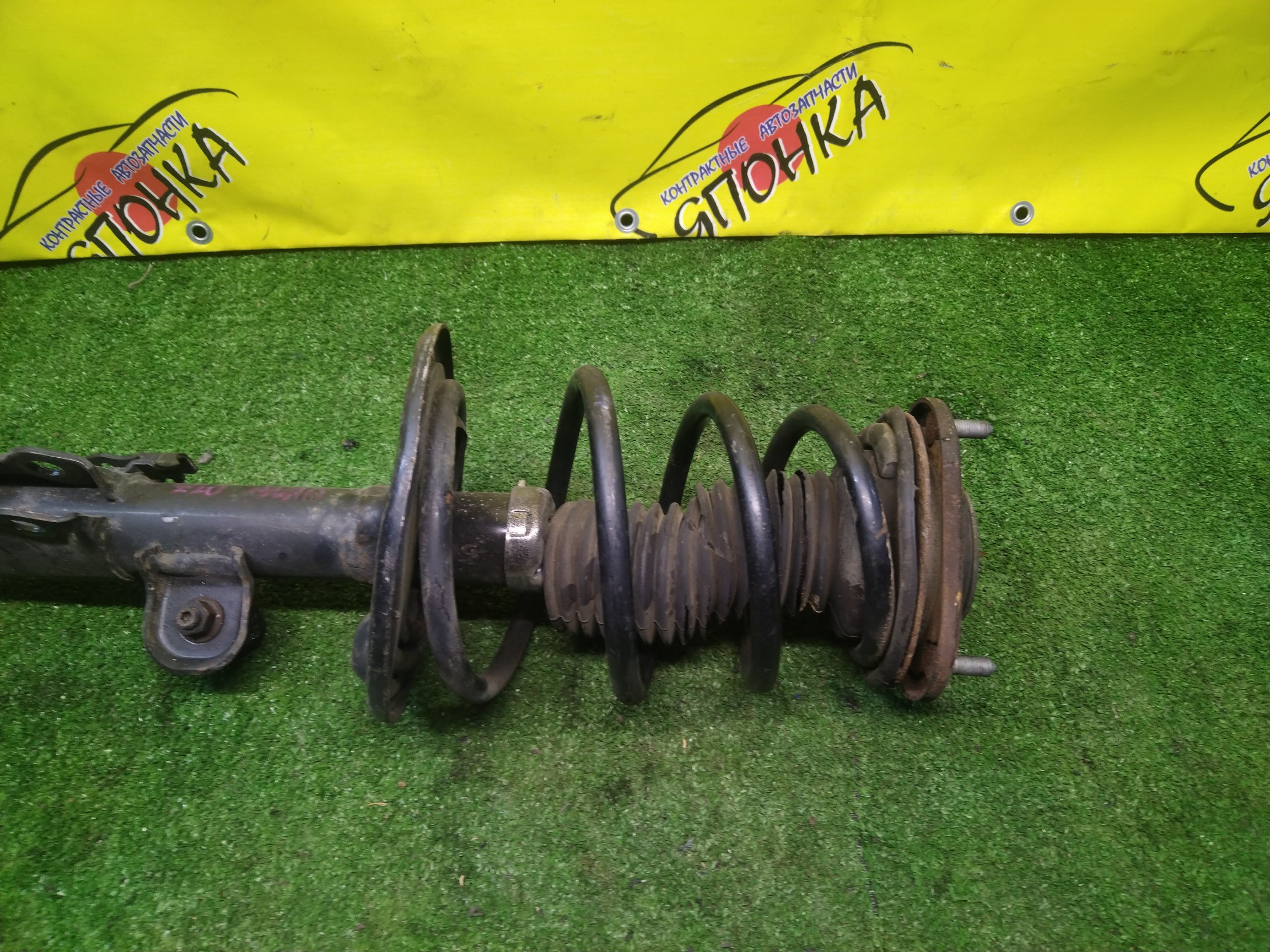 СТОЙКА/TOY/MARK X ZIO/ANA10/ANA15/GGA10/F/R