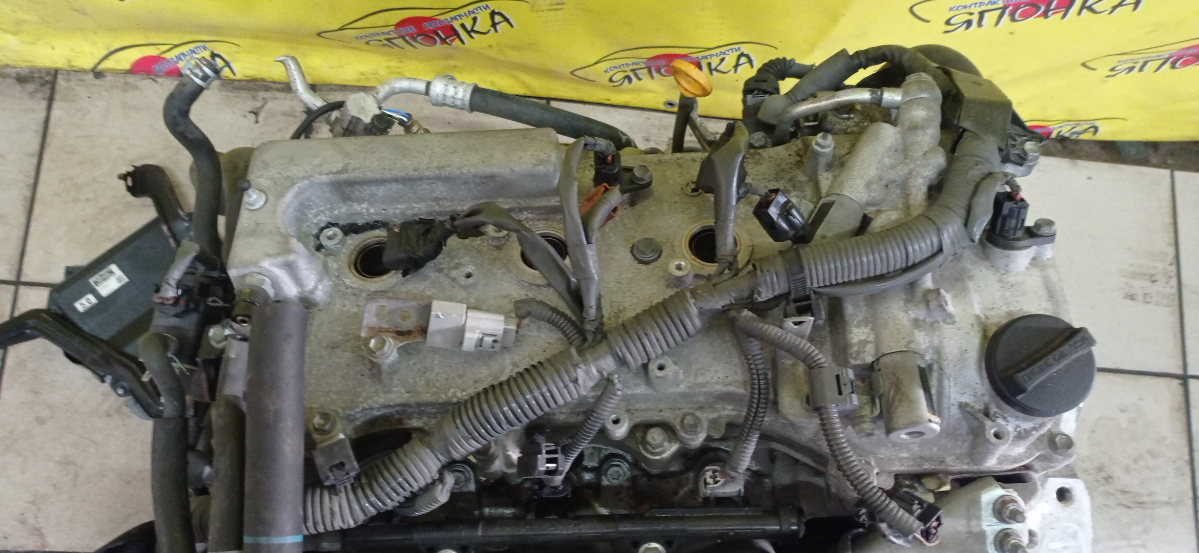 ДВС/TOY/2GR-FE/LEXUS/ALPHARD/AVALON/BLADE/CAMRY/ESTIMA/HARRIER/HIGHLANDER/MARK X ZIO/RX350/SIENNA/VELLFIRE/VENZA/GGA10/GGH20W/GGH25W/GGH30W/GGH35W/GGV10/GGV15/GRE156H/GSL20/GSL25/GSL30/GSL35/GSR50W/GSR55W/GSU30/GSU30W/GSU31W/GSU35/GSU35W/GSU36W/GSU40/GSU45/GSU50/GSU55/GSV40/GSV50/GSX30/GSX40/1900031D90/1900031D10/1900031A00