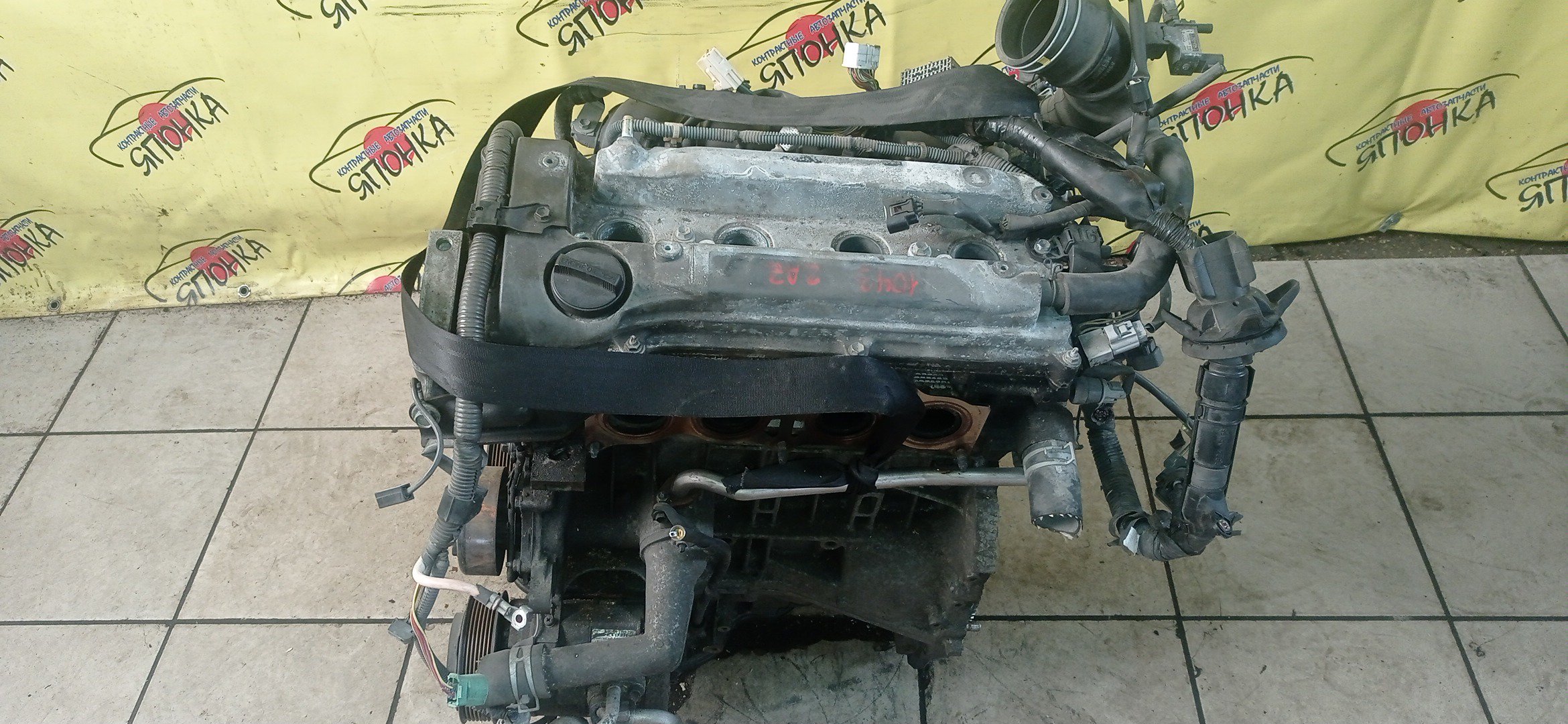 ДВС/TOY/2AZ-FE/DAIHATSU/ALPHARD/ALTIS/BLADE/CAMRY/ESTIMA/HARRIER/HIGHLANDER/KLUGER V/MARK X ZIO/RAV4/SOLARA/PREVIA/VELLFIRE/IPSUM/ACA20/ACA20W/ACA21/ACA21W/ACA23/ACA26/ACA28/ACA31W/ACA33/ACA36W/ACA38/ACR30W/ACR40W/ACR50W/ACR55W/ACU10W/ACU15W/ACU20/ACU20W/ACU25W/ACU30W/ACU35W/ACV30/ACV30N/ACV35/ACV35N/ACV45/ACV40N/ACV40/ACV45N/ANA10/ANA15/ANH10W/ANH15W/ANH20W/ANH25W/AZE154H/AZE156H/ACA31/ACM21W/ACM26W/МЕХ. ДРОССЕЛЬ/1900028483/1900028484