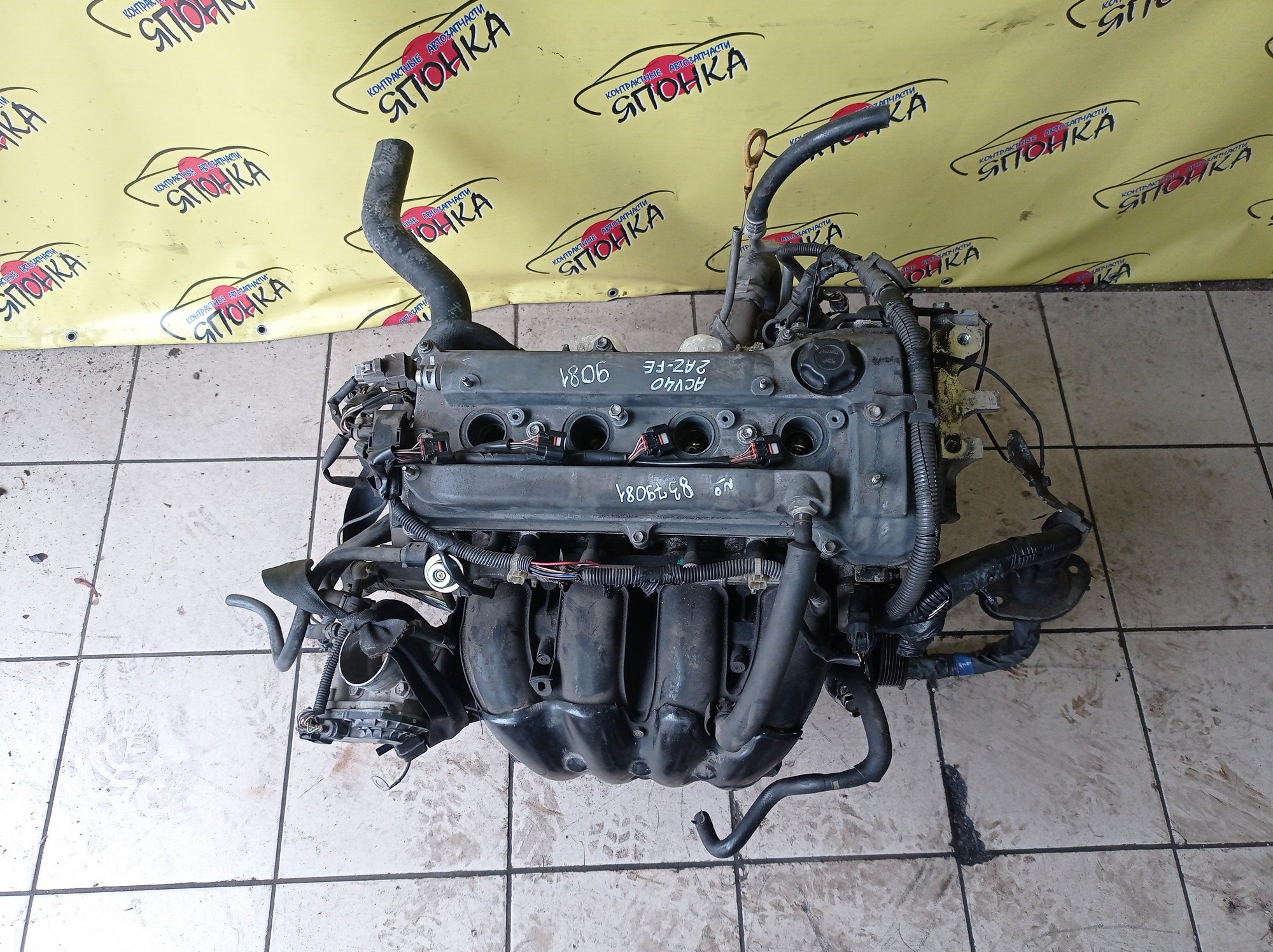 ДВС/TOY/2AZ-FE/DAIHATSU/ALPHARD/ALTIS/BLADE/CAMRY/ESTIMA/HARRIER/HIGHLANDER/KLUGER V/MARK X ZIO/RAV4/SOLARA/PREVIA/VELLFIRE/IPSUM/ACA20/ACA20W/ACA21/ACA21W/ACA23/ACA26/ACA28/ACA31W/ACA33/ACA36W/ACA38/ACR30W/ACR40W/ACR50W/ACR55W/ACU10W/ACU15W/ACU20/ACU20W/ACU25W/ACU30W/ACU35W/ACV30/ACV30N/ACV35/ACV35N/ACV45/ACV40N/ACV40/ACV45N/ANA10/ANA15/ANH10W/ANH15W/ANH20W/ANH25W/AZE154H/AZE156H/ACA31/ACM21W/ACM26W/ЭЛЕКТРО ДРОСЕЛЬ/1900028350/1900028120/1900028D10/190000H330