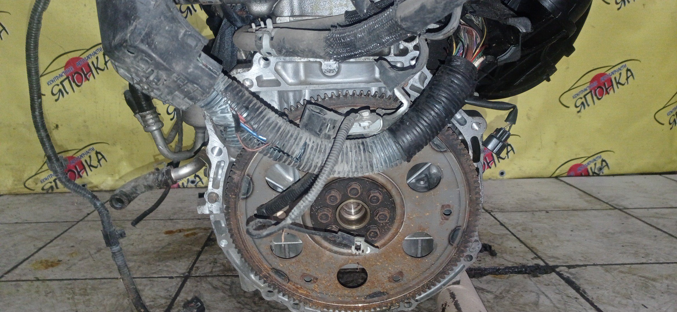 ДВС/TOY/2AZ-FE/DAIHATSU/ALPHARD/ALTIS/BLADE/CAMRY/ESTIMA/HARRIER/HIGHLANDER/KLUGER V/MARK X ZIO/RAV4/SOLARA/PREVIA/VELLFIRE/IPSUM/ACA20/ACA20W/ACA21/ACA21W/ACA23/ACA26/ACA28/ACA31W/ACA33/ACA36W/ACA38/ACR30W/ACR40W/ACR50W/ACR55W/ACU10W/ACU15W/ACU20/ACU20W/ACU25W/ACU30W/ACU35W/ACV30/ACV30N/ACV35/ACV35N/ACV45/ACV40N/ACV40/ACV45N/ANA10/ANA15/ANH10W/ANH15W/ANH20W/ANH25W/AZE154H/AZE156H/ACA31/ACM21W/ACM26W/ЭЛЕКТРО ДРОСЕЛЬ/1900028350/1900028120/1900028D10/190000H330