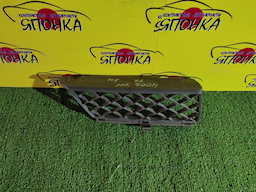 РЕШЕТКА РАДИАТОРА/NIS/WINGROAD/Y11/R/2 МОДЕЛЬ