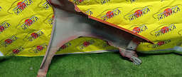 КРЫЛО/TOY/CAMRY/ACV40/ACV45/AHV40/ASV40/GSV40/F/L/2 МОДЕЛЬ/5380233180