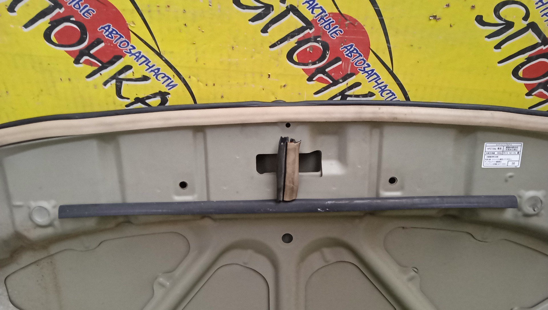 КАПОТ/TOY/PROBOX/SUCCEED/NCP50V/NCP51V/NCP52V/NCP55V/NCP58G/NCP59G/NLP51V