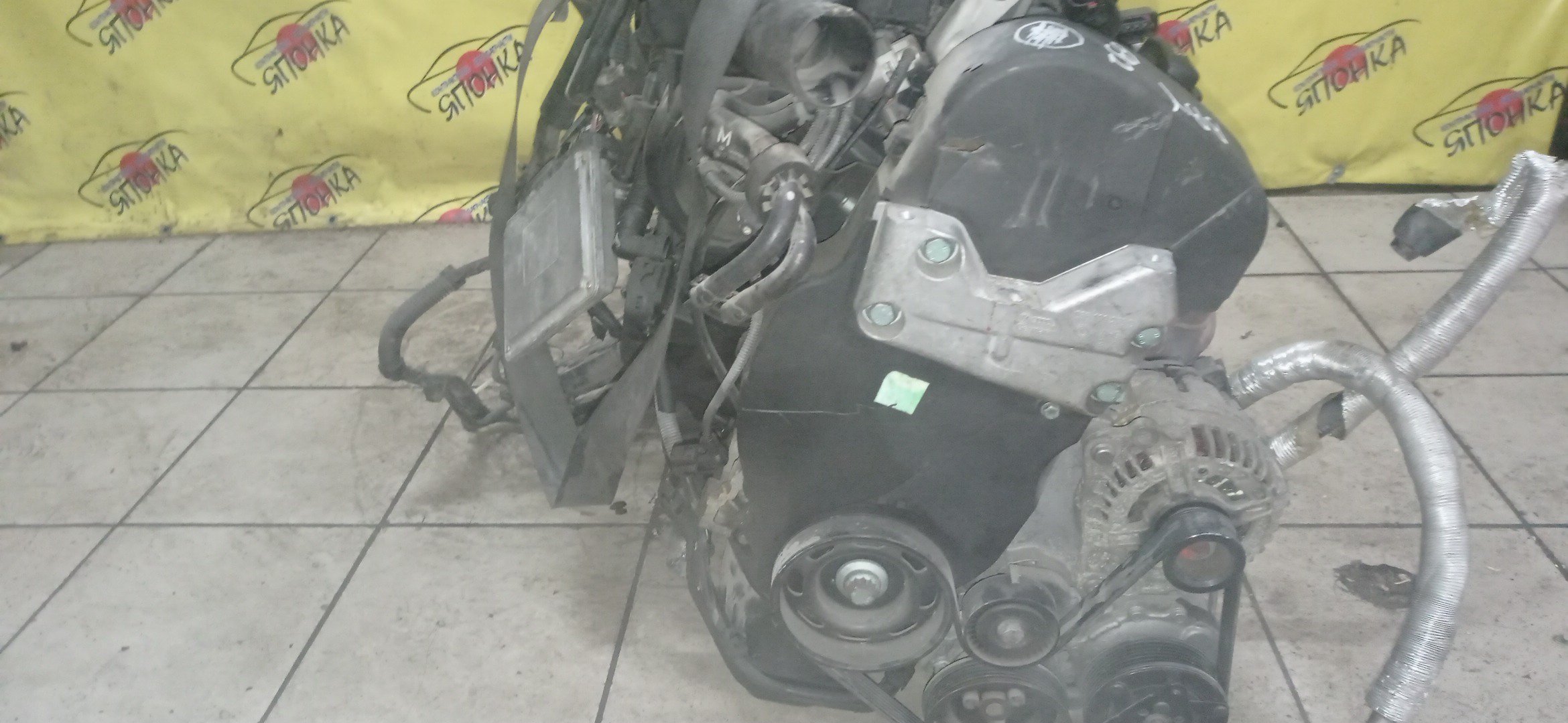 ДВС/VW/BBY/POLO/LUPO/BORA/FABIA/A2/TQ/6Y3/6Y5/9N/9N1/16 VALVE/036100104TX