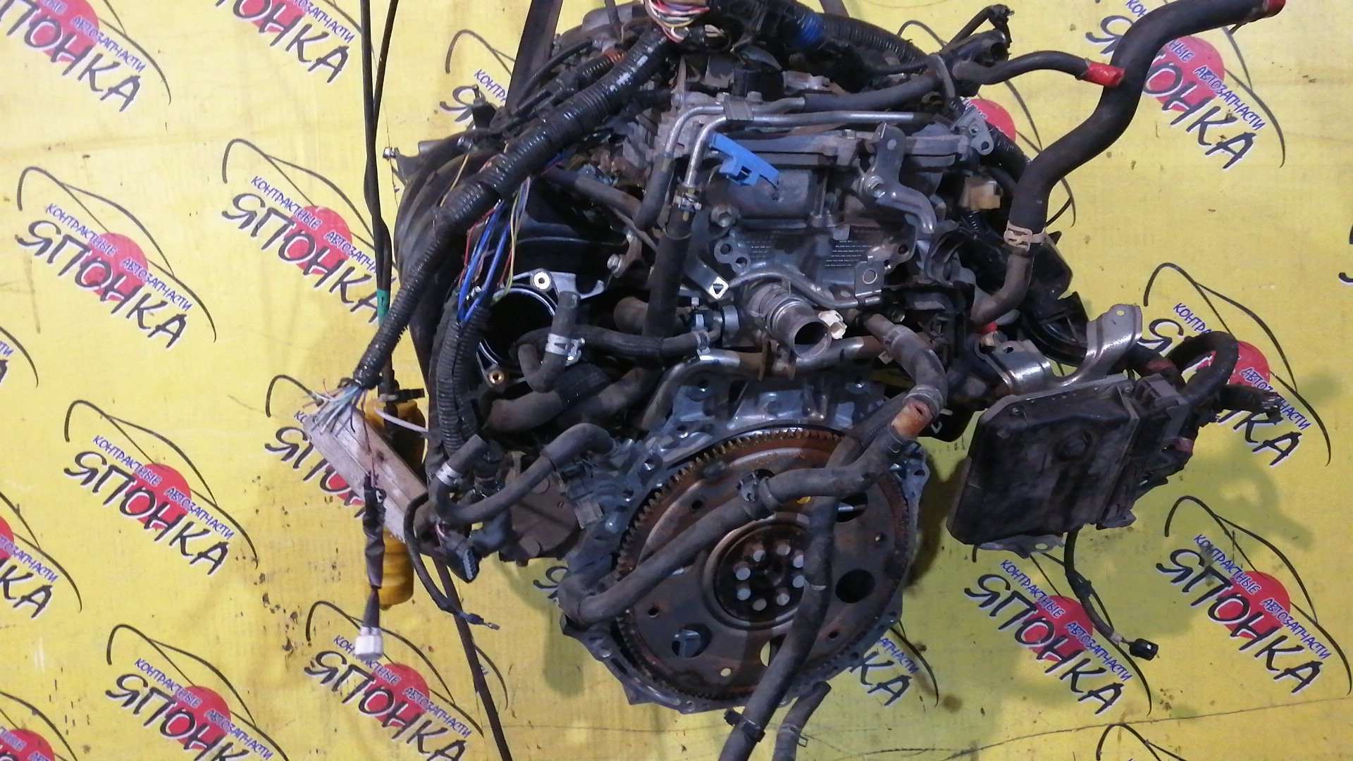 ДВС/TOY/3ZR-FE/ALLION/AVENSIS/ISIS/NOAH/PREMIO/RAV4/VOXY/WISH/ZGE21G/ZGE21R/ZGE22R/ZGE22W/ZGM11G/ZGM11W/ZRR70G/ZRR70W/ZRR75G/ZRR75W/ZRT261/ZRT272/ZRT272W/ZSA30/ZSA35/ZSA44/1900037290