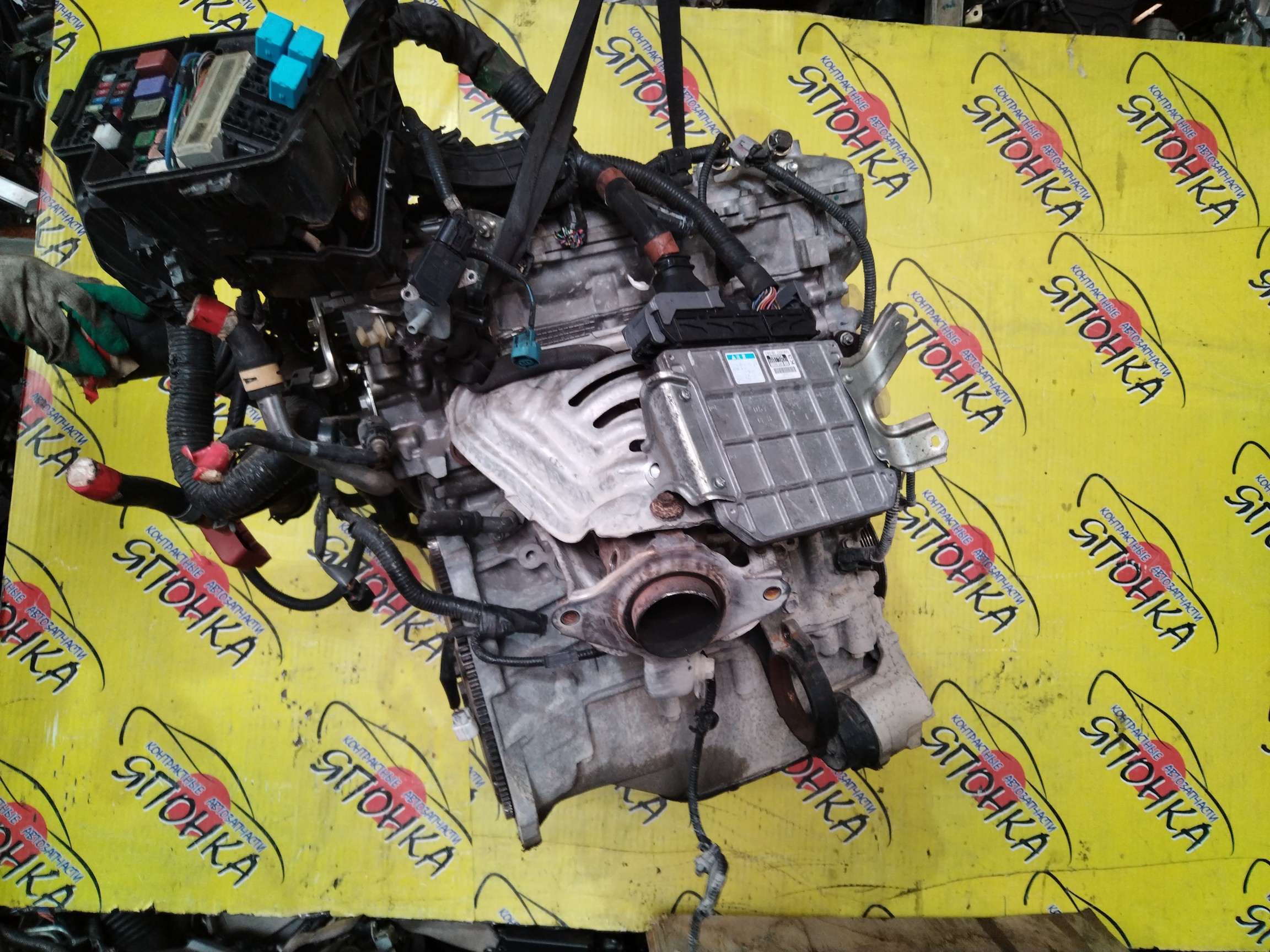 ДВС/TOY/3ZR-FE/ALLION/AVENSIS/ISIS/NOAH/PREMIO/RAV4/VOXY/WISH/ZGE21G/ZGE21R/ZGE22R/ZGE22W/ZGM11G/ZGM11W/ZRR70G/ZRR70W/ZRR75G/ZRR75W/ZRT261/ZRT272/ZRT272W/ZSA30/ZSA35/ZSA44/1900037290