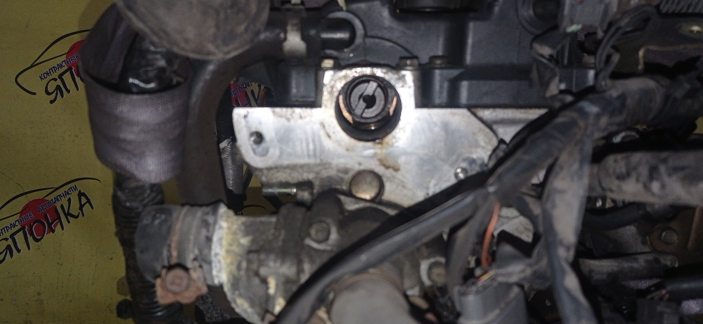 ДВС/NIS/CG10/MARCH/K11/WK11/1010BAN050