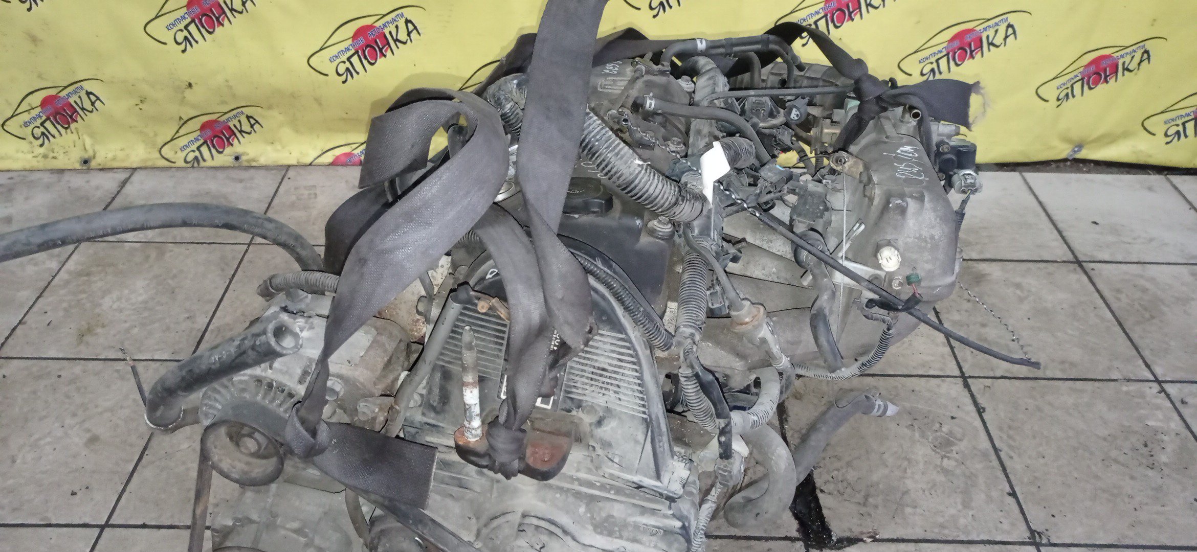 ДВС/HON/F20B/ACCORD/TORNEO/CF3/CF4/VTEC/НЕ SIR/11000PCA803