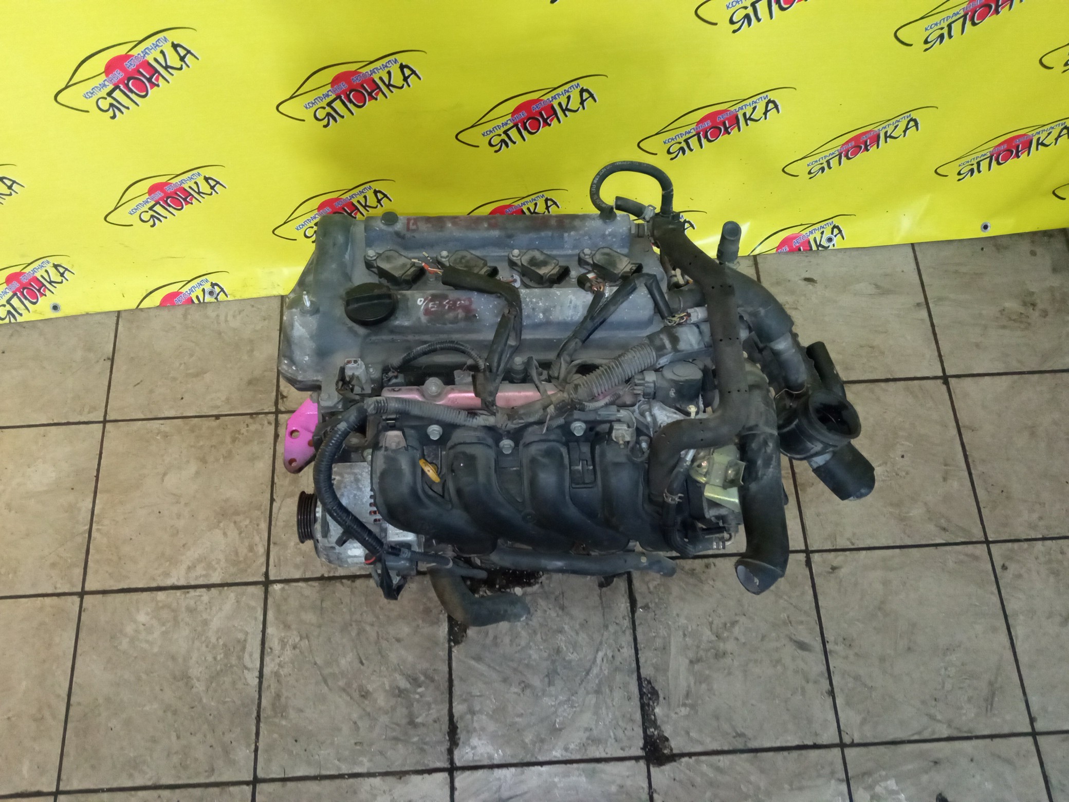 ДВС/TOY/1NZ-FE/COROLLA/VITZ/PREMIO/ALLION/IST/FIELDER/AXIO/PORTE/RACTIS/RUMION/NCP131/NCP100/NCP120/NCP105/NCP110/NCP115/NZE141G/NZE144/NZE144G/NZT260/NZE151N/NCP125/NZE141/NNP11/NNP15/NCP91/ЭЛЕКТРО ДРОСЕЛЬ/1 МОДЕЛЬ/1900021C41/1900021851