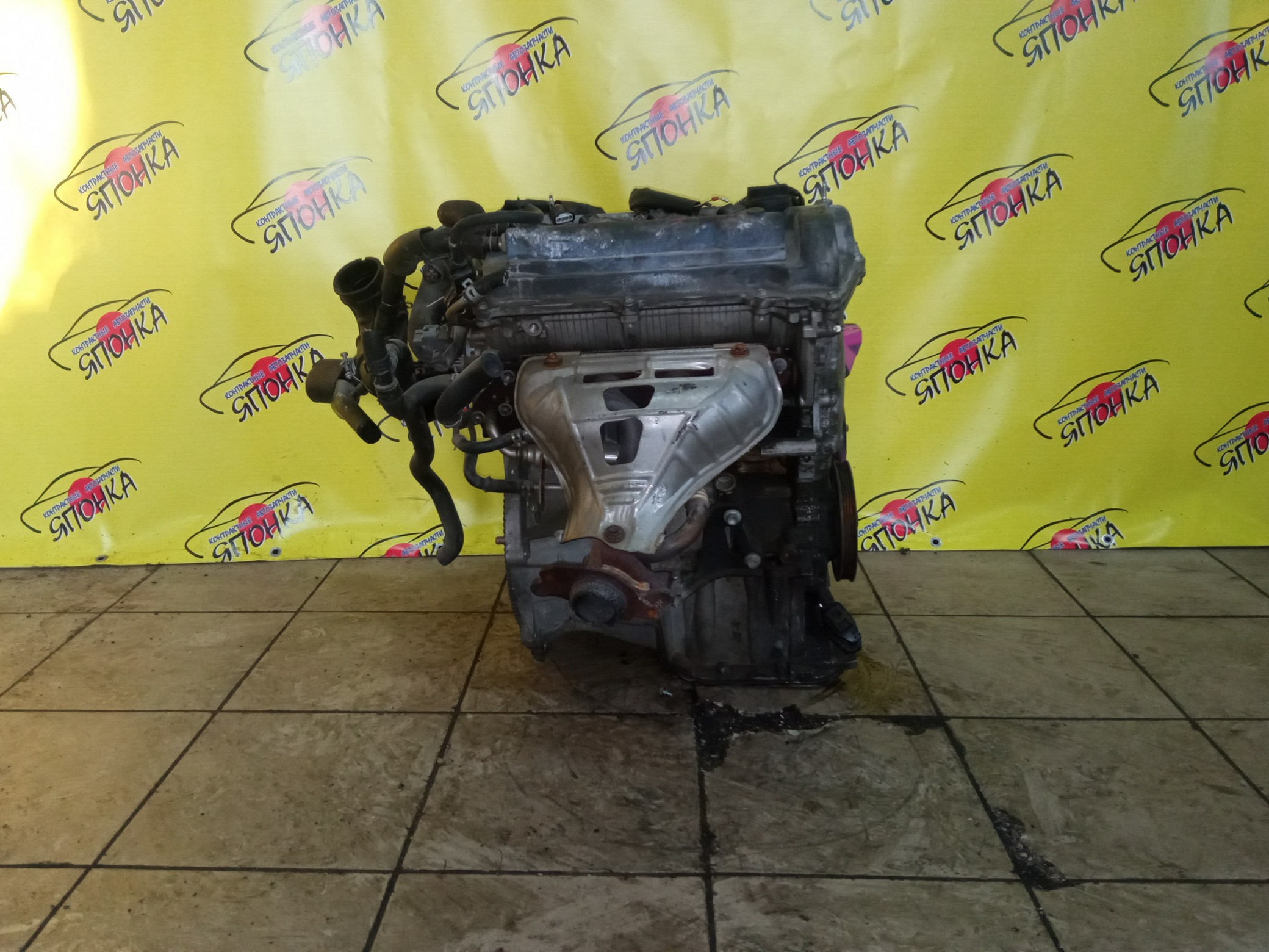 ДВС/TOY/1NZ-FE/COROLLA/VITZ/PREMIO/ALLION/IST/FIELDER/AXIO/PORTE/RACTIS/RUMION/NCP131/NCP100/NCP120/NCP105/NCP110/NCP115/NZE141G/NZE144/NZE144G/NZT260/NZE151N/NCP125/NZE141/NNP11/NNP15/NCP91/ЭЛЕКТРО ДРОСЕЛЬ/1 МОДЕЛЬ/1900021C41/1900021851