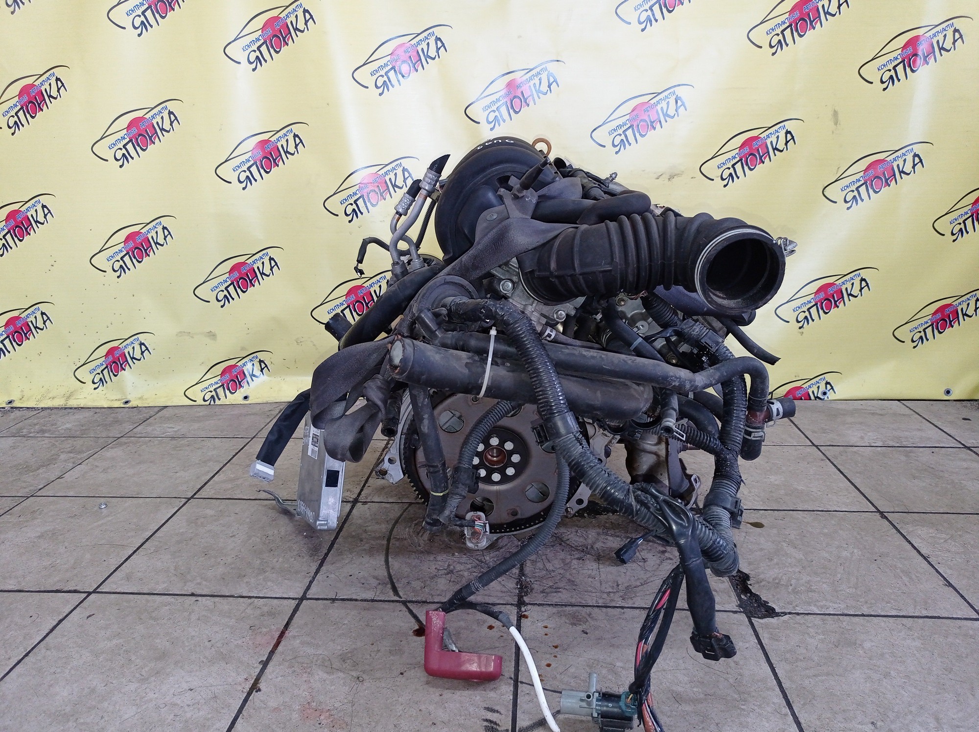 ДВС/TOY/1ZZ/COROLLA/CELICA/CALDINA/RAV4/VISTA/AVENSIS/WILL VS/SPACIO/WISH/OPA/PREMIO/ALLION/COROLLA VERSO/ALLEX/FIELDER/ISIS/RUNX/VISTA ARDEO/MR-S/VOLTZ/ZCA25W/ZCA26W/ZCT10/ZCT15/ZNE10G/ZNE14G/ZNM10G/ZNM10W/ZNR11/ZZE122/ZZE122G/ZZE122N/ZZE124/ZZE124G/ZZE124N/ZZE127/ZZE129/ZZE136/ZZE138/ZZT221/ZZT230/ZZT240/ZZT241W/ZZT245/ZZT251/ZZV50/ZZV50G/ZZW30/МЕХАНИЧЕСКАЯ ЗАСЛОНКА/ВПУСК ПЛАСТИКОВЫЙ/1900022080/1900022081