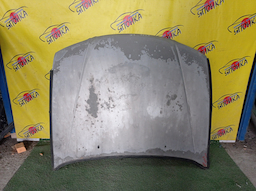 КАПОТ/NIS/AVENIR/EXPERT/PNW11/PW11/RNW11/RW11/SW11/VENW11/VEW11/VNW11/VW11/W11