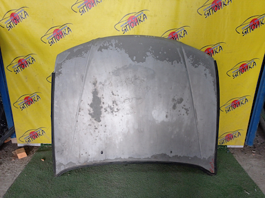 КАПОТ/NIS/AVENIR/EXPERT/PNW11/PW11/RNW11/RW11/SW11/VENW11/VEW11/VNW11/VW11/W11