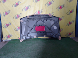 КАПОТ/DAI/CAMI/TERIOS/TERIOS KID/J100E/J100G/J102E/J102G/J111G/J122E/J122G/J131G/TURBO