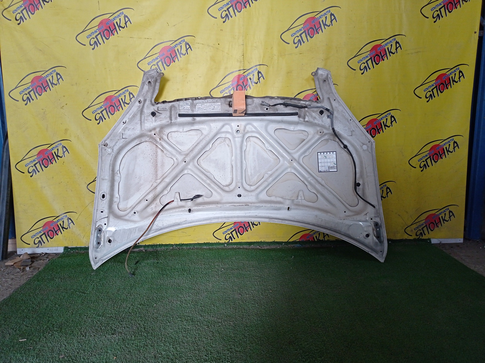 КАПОТ/TOY/IPSUM/ACM21/ACM26/1 МОДЕЛЬ