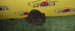 БАЧОК ГУР/TOY/CURREN/CARINA ED/EXIV/CELICA/ST206/ST202/3S-FE