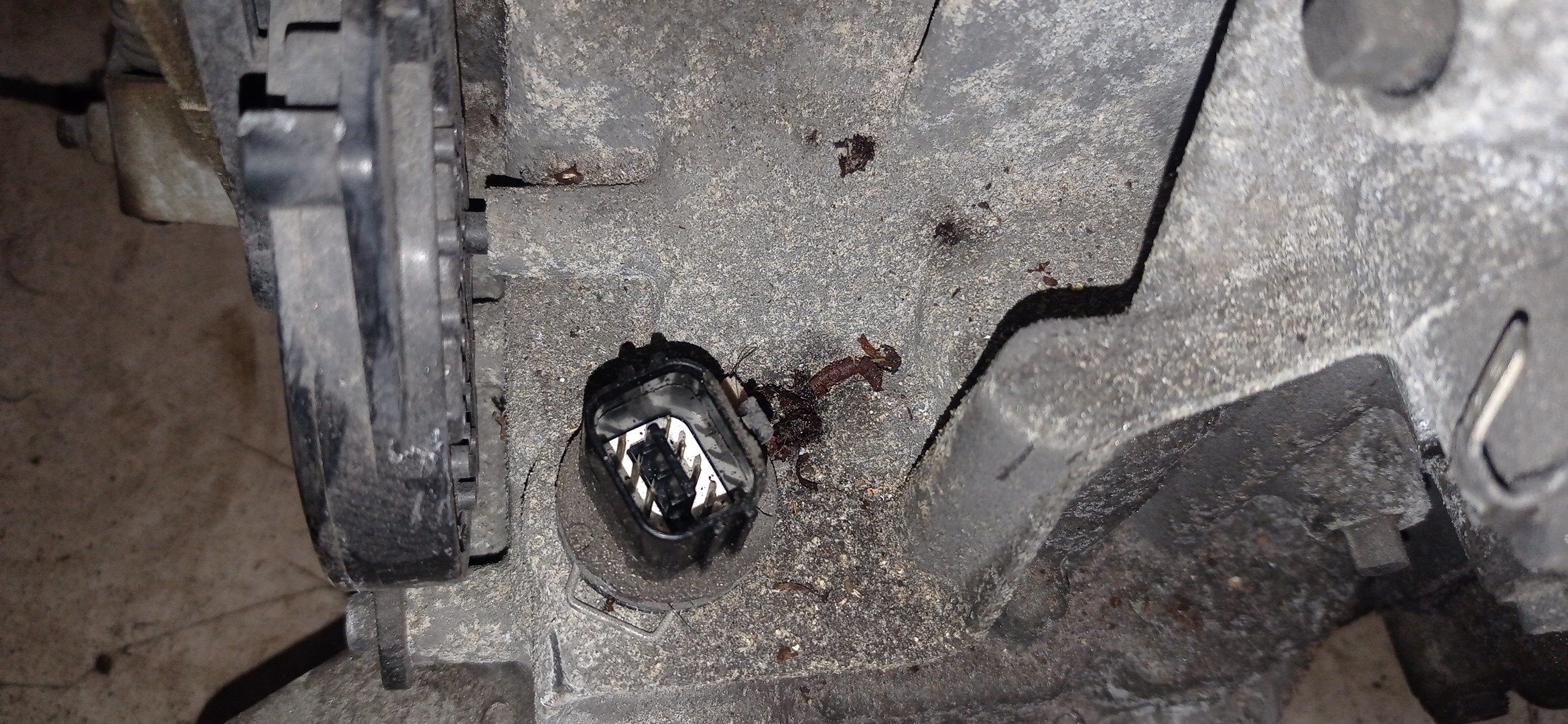 АКПП/NIS/QR20-DE/QR25-DE/AVENIR/LIBERTY/PRIMERA/SERENA/X-TRAIL/NT30/RNM12/RNW11/TNC24/TNP12/WTNP12/4WD/RE4F04BFT44/NEW