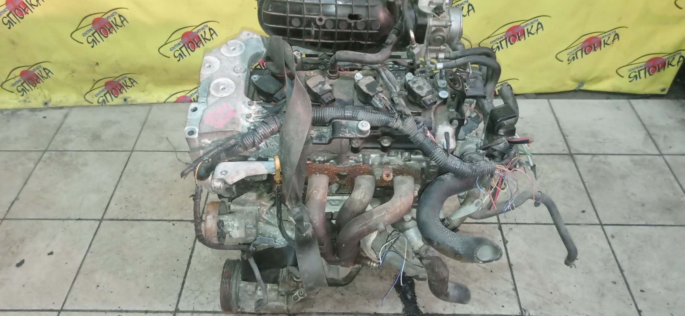 ДВС/NIS/QR25DE/ELGRAND/MURANO/TEANA/X-TRAIL/TE52/TNE52/TNJ32/TNT31/TNZ51/TZ51/2WD/4WD/10102JC20B/10102JC2RB/101021JB0D/10102JG3AC