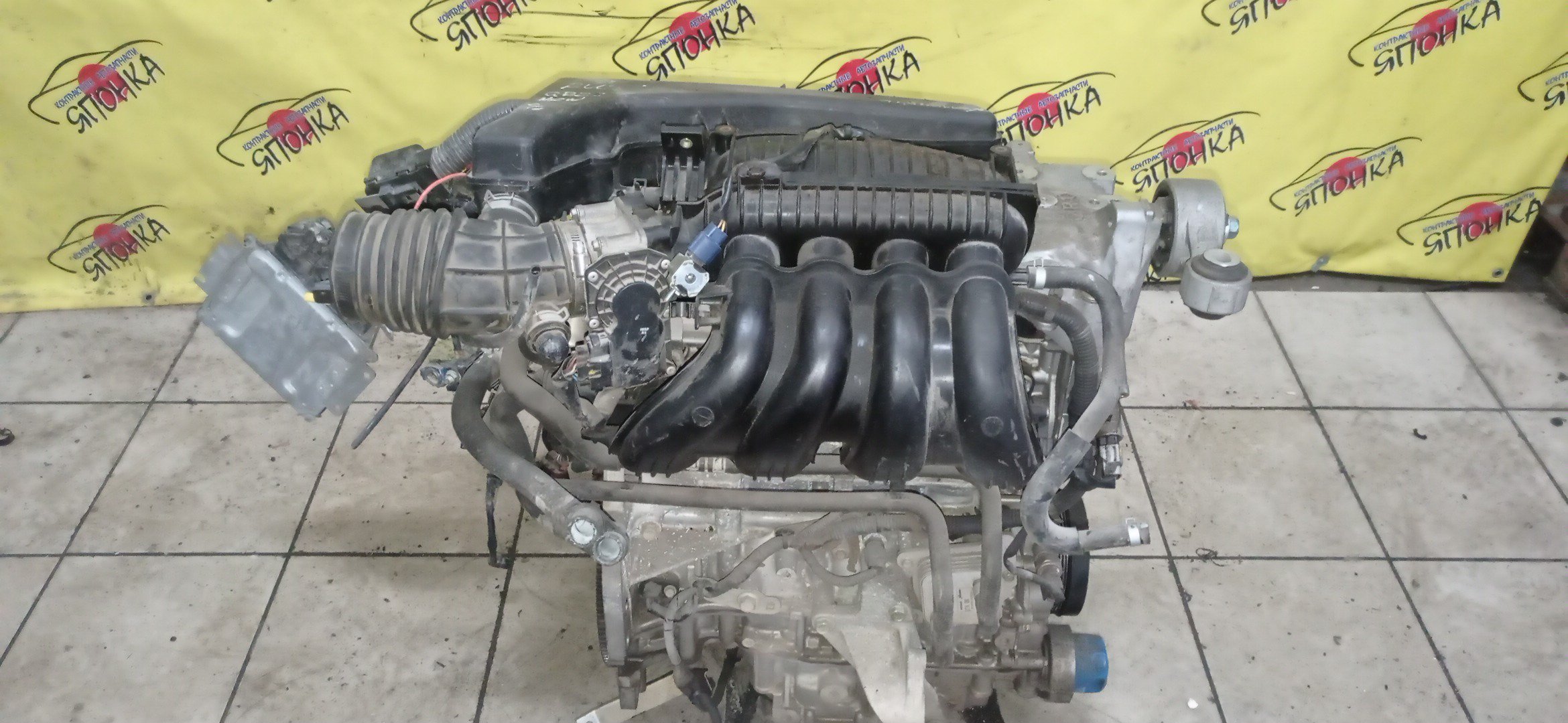 ДВС/NIS/QR25DE/ELGRAND/MURANO/TEANA/X-TRAIL/TE52/TNE52/TNJ32/TNT31/TNZ51/TZ51/2WD/4WD/221005V100/10102JC20B/10102JC2RB/101021JB0D/10102JG3AC