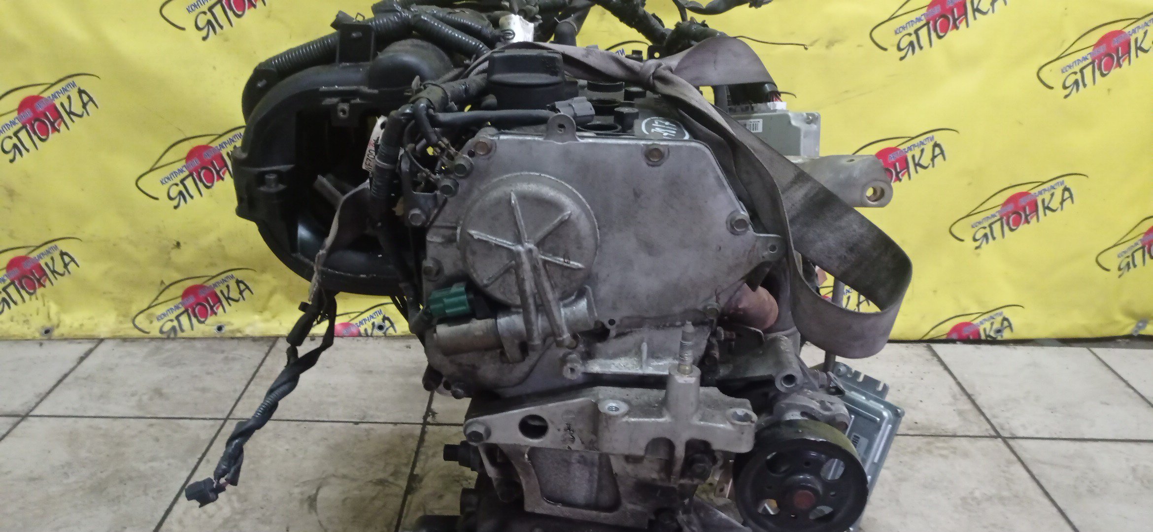 ДВС/NIS/QR20DE/AVENIR/LIBERTY/PRIMERA/SERENA/TEANA/X-TRAIL/J31/NT30/RNM12/RNW11/T30/TNC24/TNP12/WTNP12/4WD/NEW