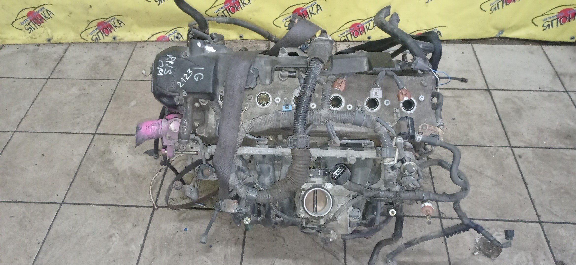 ДВС/TOY/1G-FE BEAMS/ALTEZZA/ALTEZZA GITA/CHASER/CRESTA/CROWN/IS200/LEXUS/MARK II/MARK II BLIT/VEROSSA/GX105/GX115/GX115W/GXE15W/4WD/1900070320