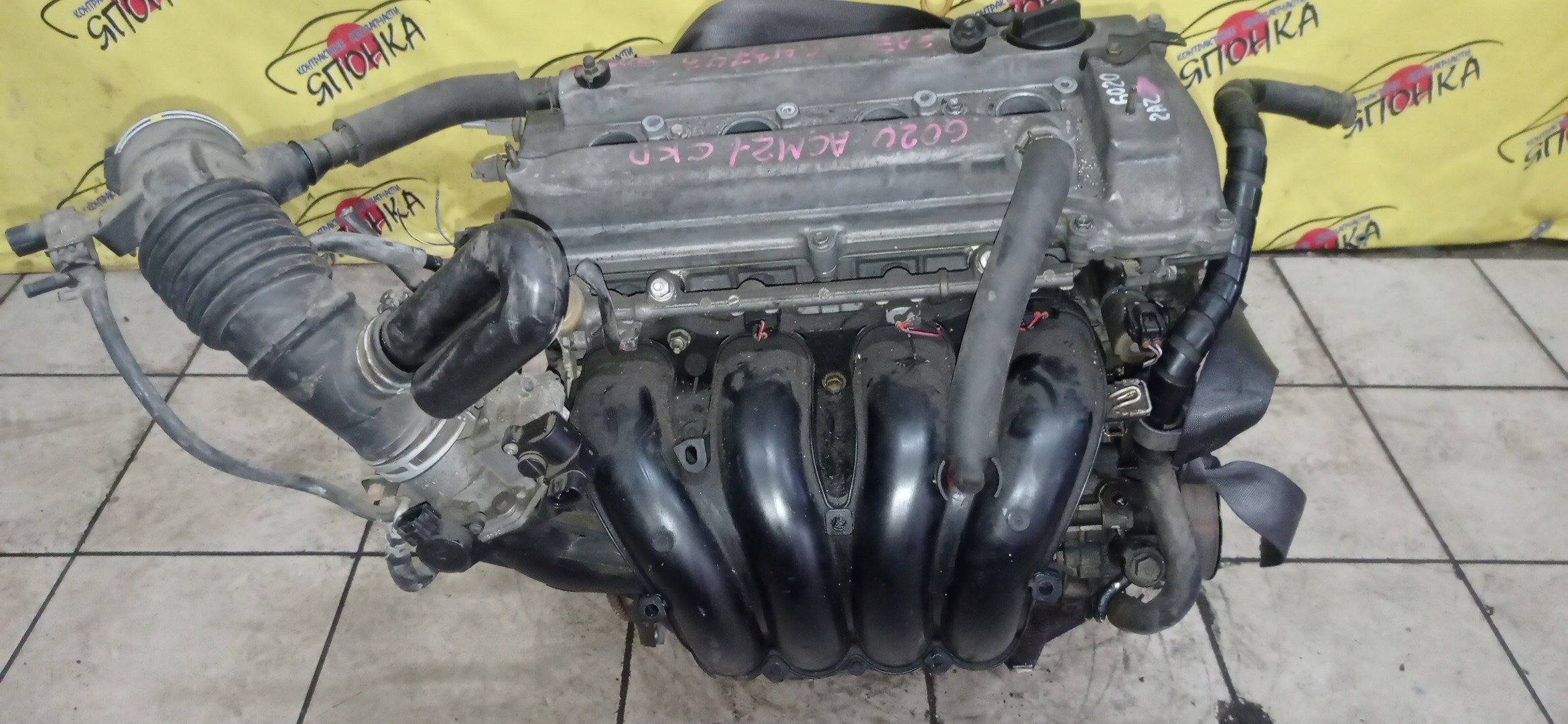 ДВС/TOY/2AZ-FE/DAIHATSU/ALPHARD/ALTIS/BLADE/CAMRY/ESTIMA/HARRIER/HIGHLANDER/KLUGER V/MARK X ZIO/RAV4/SOLARA/PREVIA/VELLFIRE/IPSUM/ACA20/ACA20W/ACA21/ACA21W/ACA23/ACA26/ACA28/ACA31W/ACA33/ACA36W/ACA38/ACR30W/ACR40W/ACR50W/ACR55W/ACU10W/ACU15W/ACU20/ACU20W/ACU25W/ACU30W/ACU35W/ACV30/ACV30N/ACV35/ACV35N/ACV45/ACV40N/ACV40/ACV45N/ANA10/ANA15/ANH10W/ANH15W/ANH20W/ANH25W/AZE154H/AZE156H/ACA31/ACM21W/ACM26W/МЕХ. ДРОССЕЛЬ/1900028483/1900028484