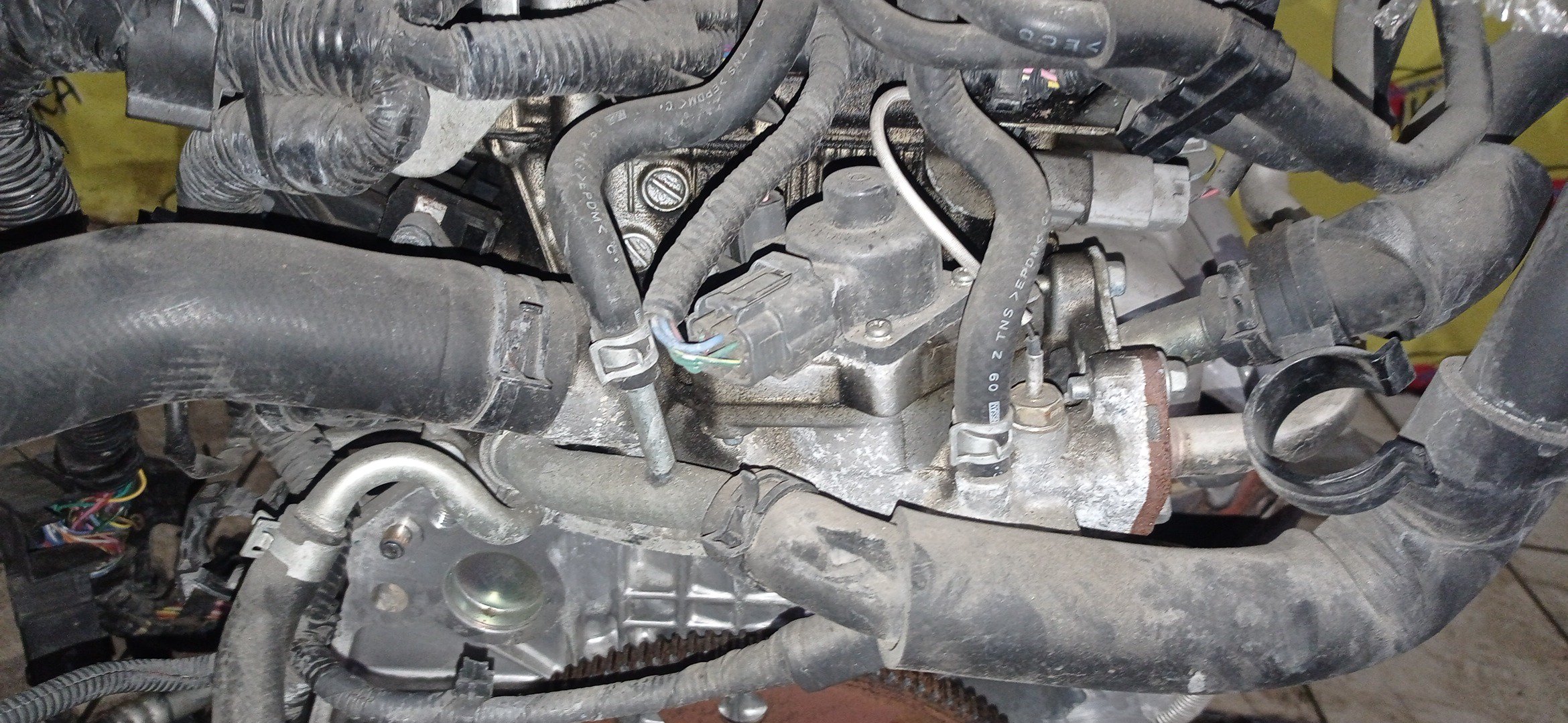 ДВС/NIS/MR20DE/SUZUKI/BLUEBIRD SYLPHY/DUALIS/LAFESTA/LANDY/QASHQAI2/SERENA/X-TRAIL/B30/C25/CC25/J10/J10E/JJ10E/KG11/KJ10/SC25/T31/2WD/10102EW0A0/10102EN0AB/10102EN0RB/10102EN1R0/101021GKAA