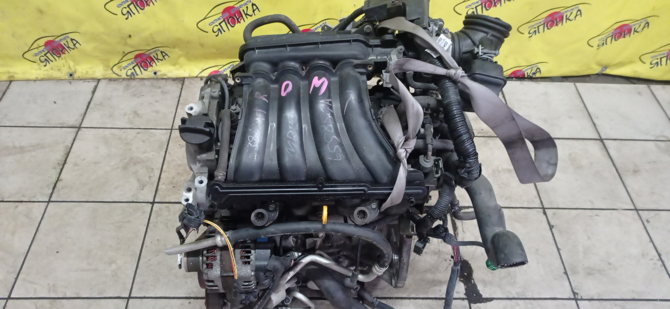 ДВС/NIS/MR20DE/SUZUKI/BLUEBIRD SYLPHY/DUALIS/LAFESTA/LANDY/QASHQAI2/SERENA/X-TRAIL/B30/C25/CC25/J10/J10E/JJ10E/KG11/KJ10/SC25/T31/2WD/10102EW0A0/10102EN0AB/10102EN0RB/10102EN1R0/101021GKAA