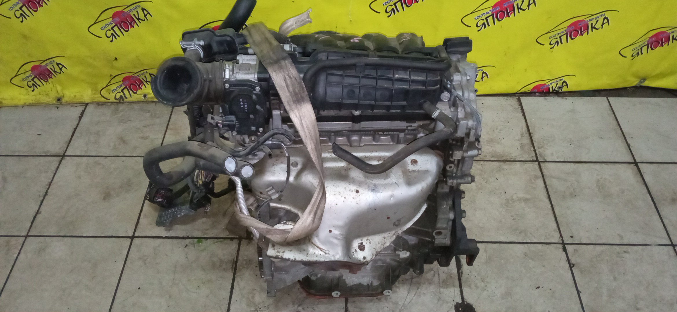 ДВС/NIS/MR20DE/SUZUKI/BLUEBIRD SYLPHY/DUALIS/LAFESTA/LANDY/QASHQAI2/SERENA/X-TRAIL/B30/C25/CC25/J10/J10E/JJ10E/KG11/KJ10/SC25/T31/2WD/10102EW0A0/10102EN0AB/10102EN0RB/10102EN1R0/101021GKAA