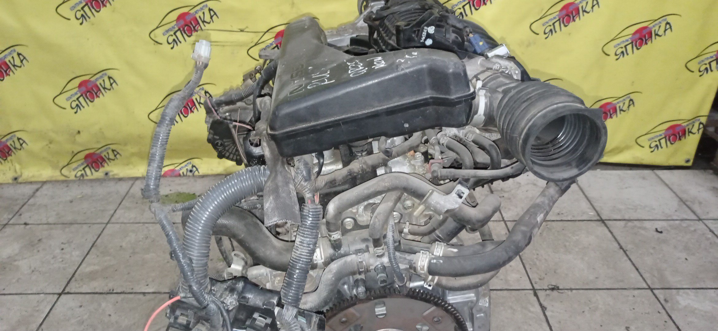 ДВС/NIS/QR25DE/ELGRAND/MURANO/TEANA/X-TRAIL/TE52/TNE52/TNJ32/TNT31/TNZ51/TZ51/2WD/4WD/221005V100/10102JC20B/10102JC2RB/101021JB0D/10102JG3AC