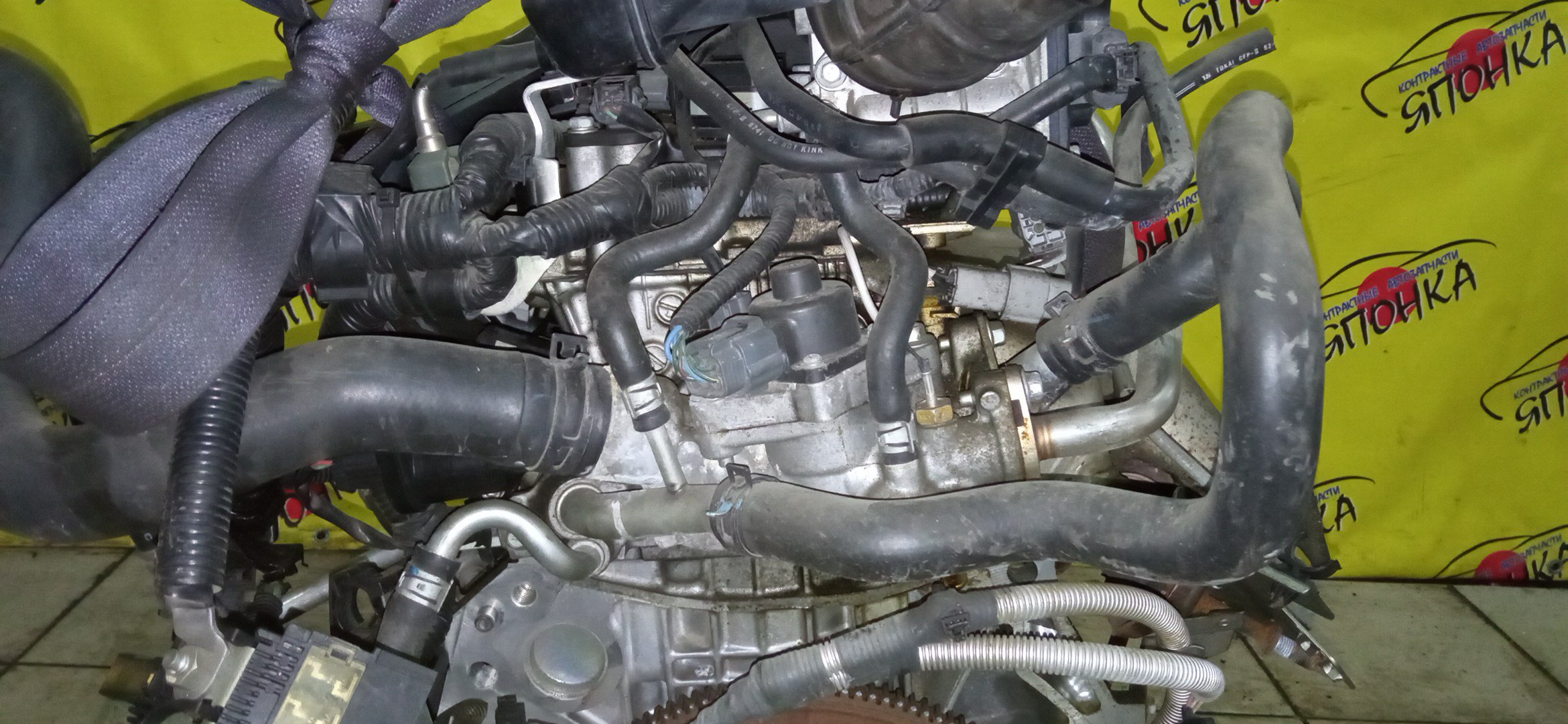 ДВС/NIS/MR20DE/SUZUKI/BLUEBIRD SYLPHY/DUALIS/LAFESTA/LANDY/QASHQAI2/SERENA/X-TRAIL/B30/C25/CC25/J10/J10E/JJ10E/KG11/KJ10/SC25/T31/2WD/10102EW0A0/10102EN0AB/10102EN0RB/10102EN1R0/101021GKAA