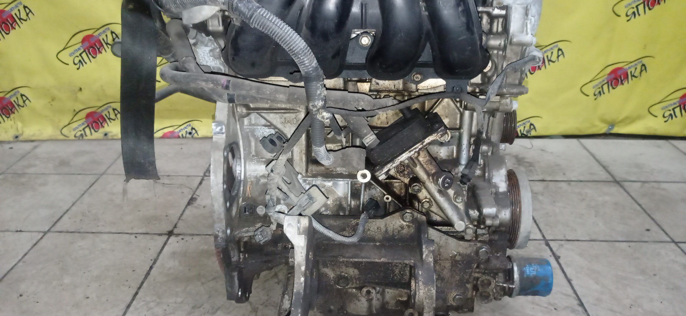 ДВС/NIS/QR25DE/ELGRAND/MURANO/TEANA/X-TRAIL/TE52/TNE52/TNJ32/TNT31/TNZ51/TZ51/2WD/4WD/10102JC20B/10102JC2RB/101021JB0D/10102JG3AC