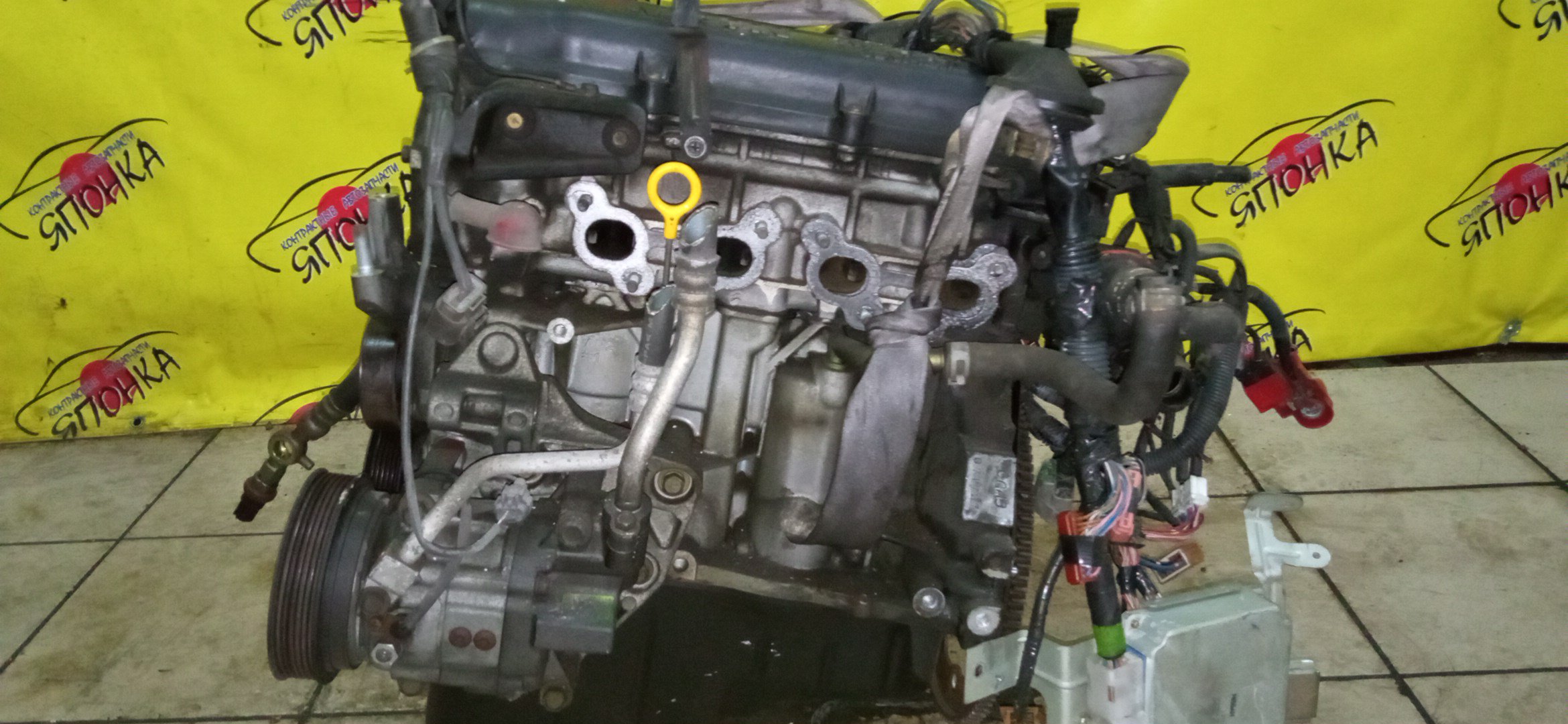 ДВС/NIS/CGA3DE/CUBE/MARCH/AK11/ANK11/ANZ10/AZ10/WAK11/10102AN250