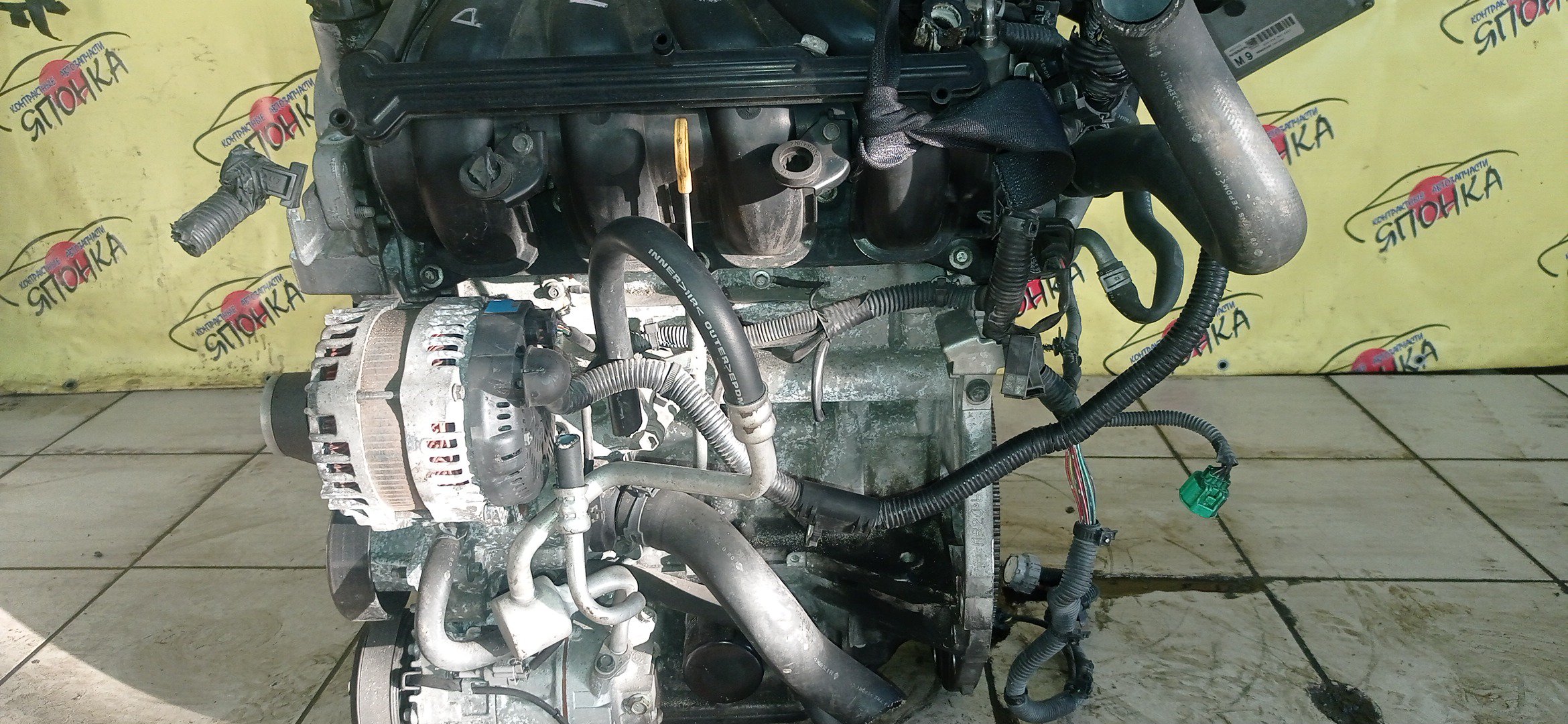 ДВС/NIS/MR20DE/SUZUKI/BLUEBIRD SYLPHY/DUALIS/LAFESTA/LANDY/QASHQAI2/SERENA/X-TRAIL/B30/C25/CC25/J10/J10E/JJ10E/KG11/KJ10/SC25/T31/2WD/10102EW0A0/10102EN0AB/10102EN0RB/10102EN1R0/101021GKAA