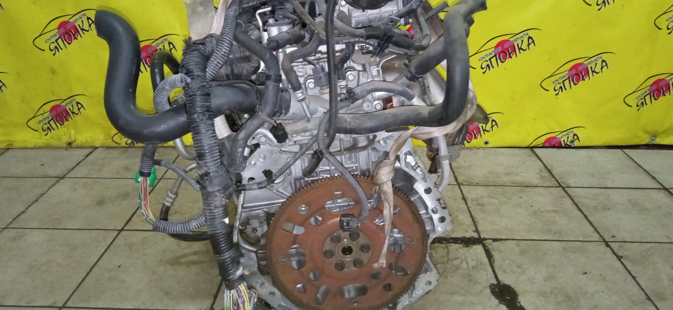 ДВС/NIS/MR20DE/SUZUKI/BLUEBIRD SYLPHY/DUALIS/LAFESTA/LANDY/QASHQAI2/SERENA/X-TRAIL/B30/C25/CC25/J10/J10E/JJ10E/KG11/KJ10/SC25/T31/2WD/10102EW0A0/10102EN0AB/10102EN0RB/10102EN1R0/101021GKAA