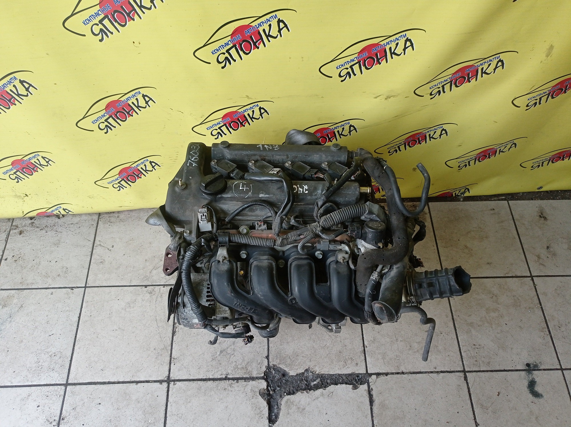 ДВС/TOY/1NZ-FE/COROLLA/VITZ/PREMIO/ALLION/IST/FIELDER/AXIO/PORTE/RACTIS/RUMION/NCP131/NCP100/NCP120/NCP105/NCP110/NCP115/NZE141G/NZE144/NZE144G/NZT260/NZE151N/NCP125/NZE141/NNP11/NNP15/NCP91/ЭЛЕКТРО ДРОСЕЛЬ/1 МОДЕЛЬ/1900021C41/1900021851