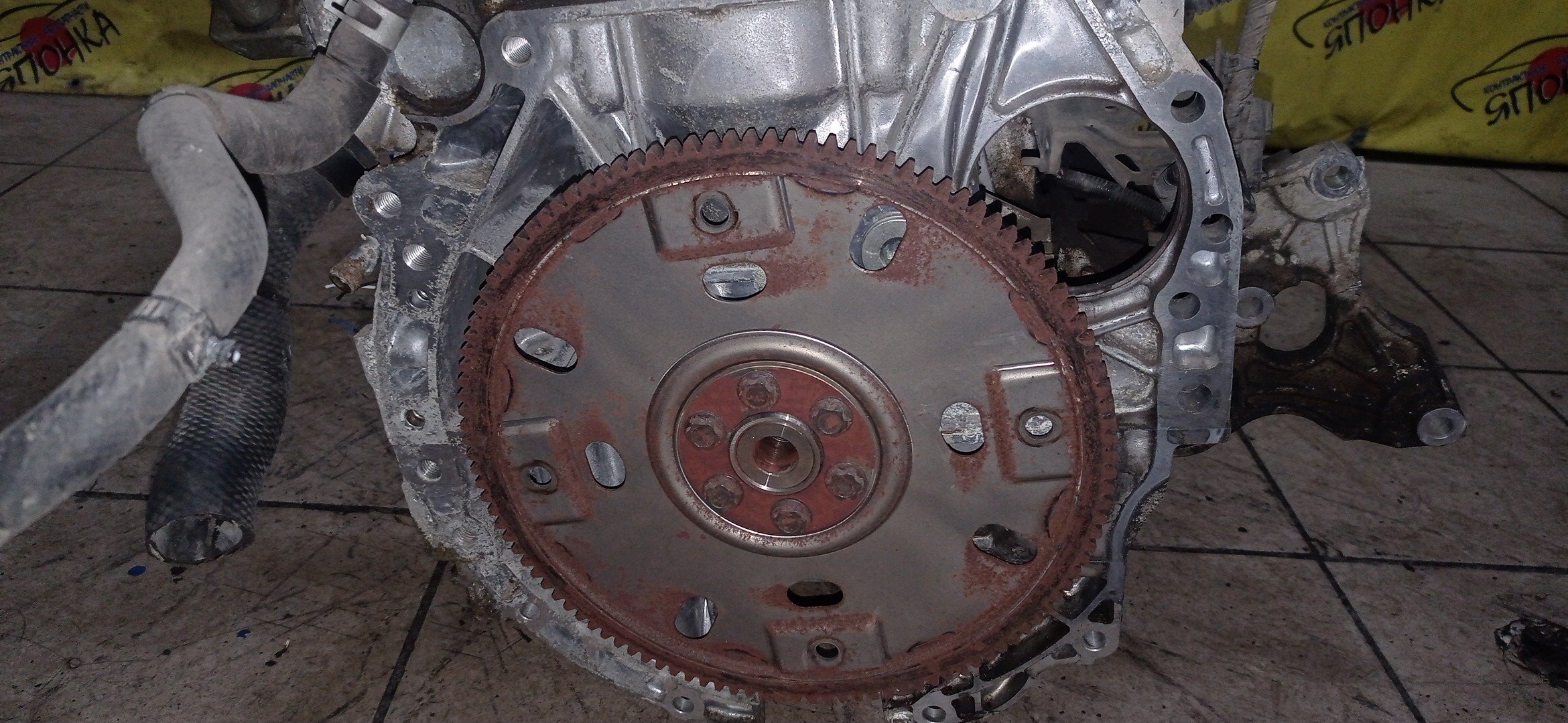 ДВС/NIS/QR25DE/ELGRAND/MURANO/TEANA/X-TRAIL/TE52/TNE52/TNJ32/TNT31/TNZ51/TZ51/2WD/4WD/10102JC20B/10102JC2RB/101021JB0D/10102JG3AC