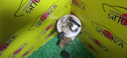 КОРПУС БЕНЗОНАСОСА/TOY/CELICA/MR-S/ZZT230/ZZT231/ZZW30/2 ШТУЦЕРА