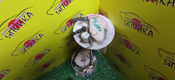 КОРПУС БЕНЗОНАСОСА/TOY/BELTA/RACTIS/VITZ/YARIS/KSP90/KSP92/NCP100/NCP105/NCP91/NCP95/NCP96/SCP100/SCP90/SCP92/3 ШТУЦЕРА/УЦЕНКА