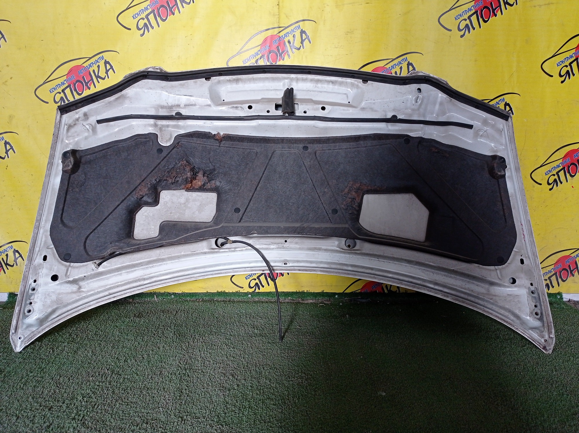 КАПОТ/MAZ/MPV/LW3W/LW5W/LWEW/LWFW/1 МОДЕЛЬ