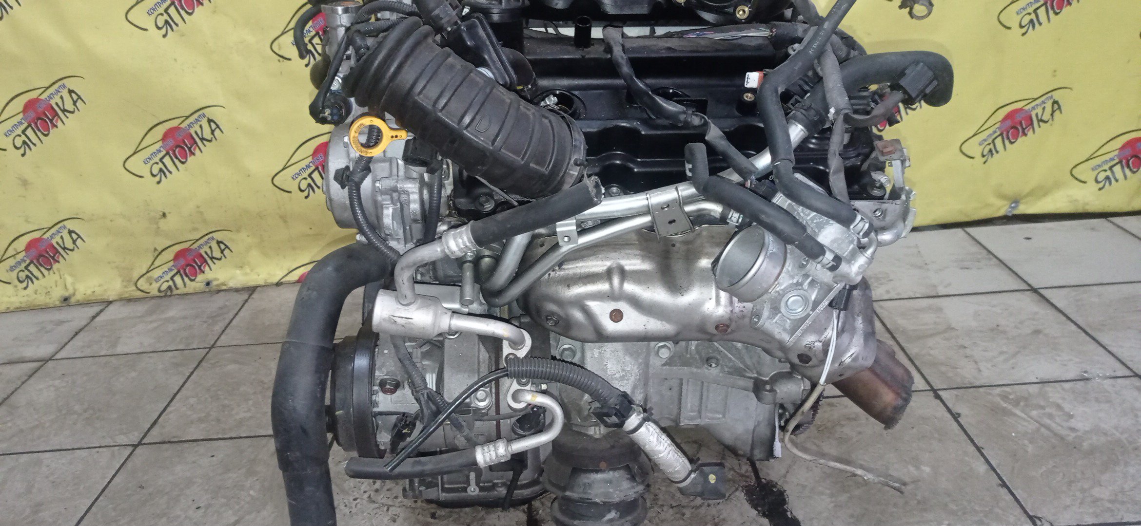 ДВС/NIS/VQ25-HR/INFINITI/EX25/FUGA/G25/M25/Q40/Q70/QX50/SKYLINE/J50/NV36/V36/Y50/Y51/2WD/10102JK0A0