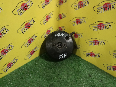 ВАКУУМ/NIS/R'NESSA/N30/NN30/PNN30/2 ШПИЛЬКИ