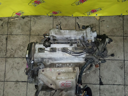 ДВС/TOY/4S-FE/CALDINA/CAMRY/CARINA/CARINA ED/CORONA/EXIV/CURREN/VISTA/ST170/ST170G/ST180/ST181/ST190/ST190G/ST200/ST201/ST208/SV30/SV40/ТРАМБЛЕРНЫЙ